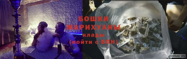 прущие грибы Бикин