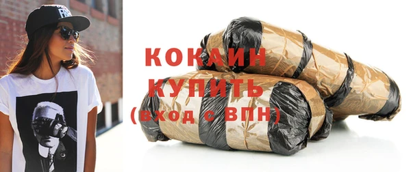 прущие грибы Бикин