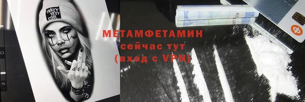 прущие грибы Бикин