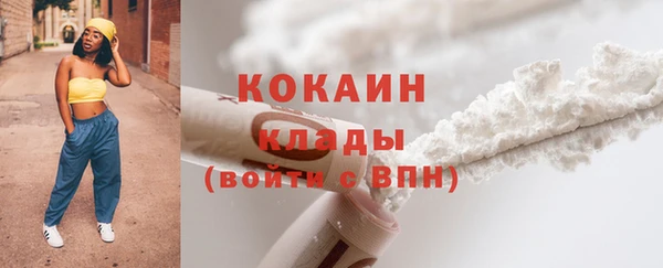 прущие грибы Бикин