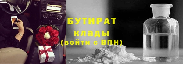 прущие грибы Бикин