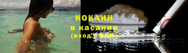 прущие грибы Бикин