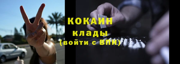 прущие грибы Бикин