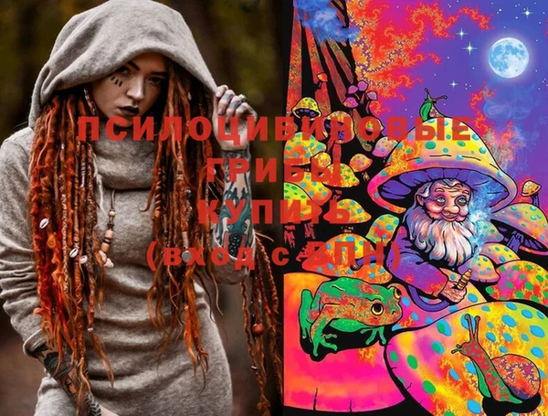 прущие грибы Бикин