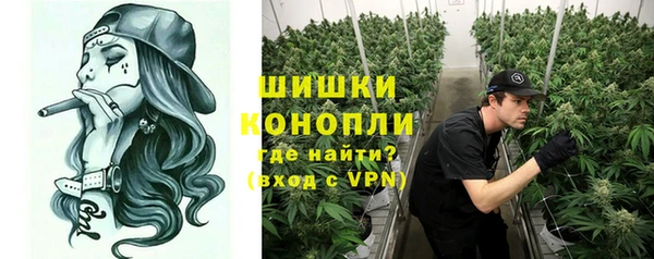 прущие крисы Билибино