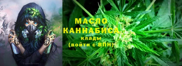 прущие грибы Бикин