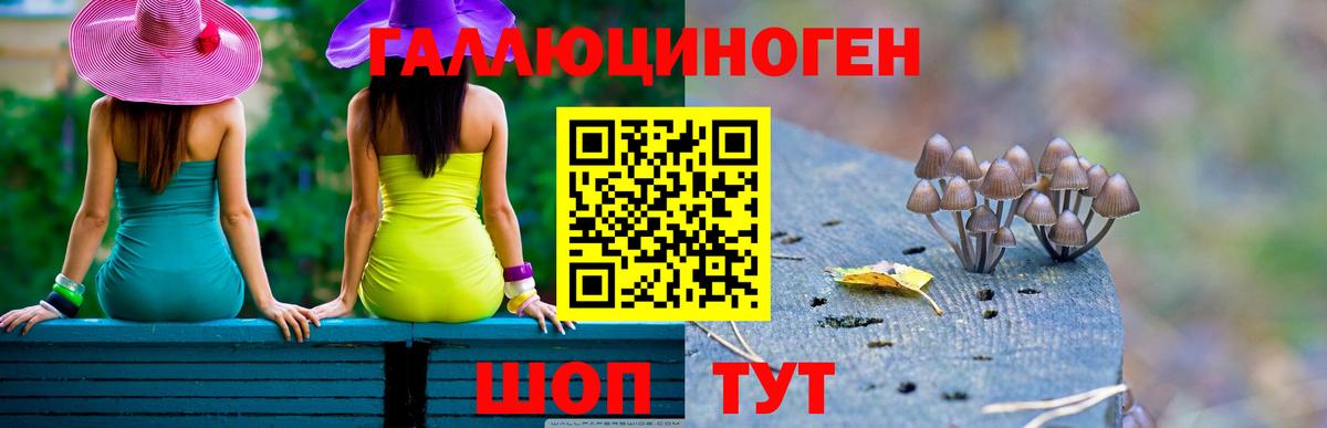 Псилоцибиновые грибы Psilocybine cubensis  Вход с VPN  магазин    Россия 